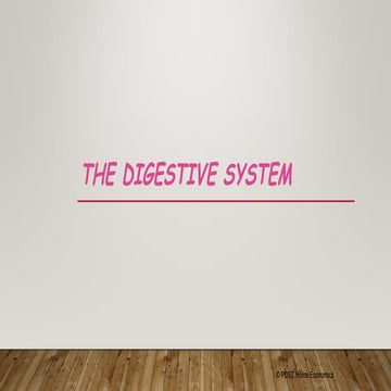 Digestive System digestion ans others.ppt