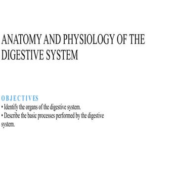 Anatomy & Physiology of GIT | PDF