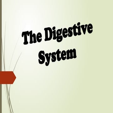 THE DIGESTIVE SYSTEM FOR SCIENCE 7 .pptx