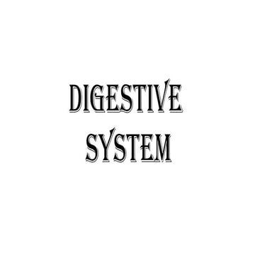 Digestive system.pptxhhkjhghhhhhhhhhhhhhhhhh