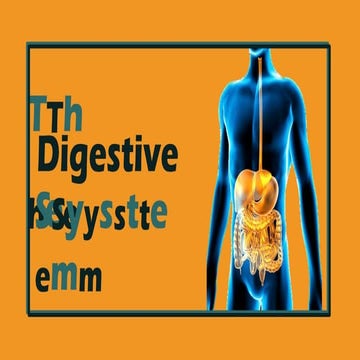 Digestive System science grade 7 xxxxxxx
