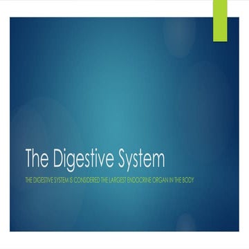 Physiology of Digestive System | PPT