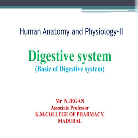 Digestive system -Basic introduction