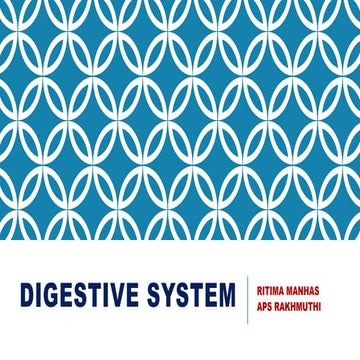 digestive system class 10