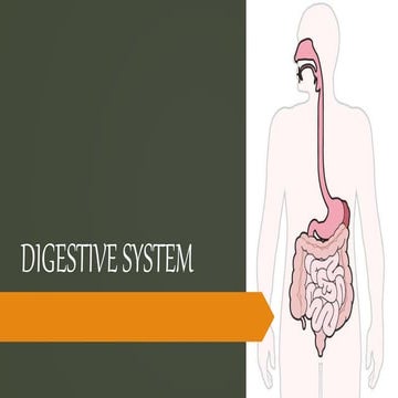 Digestive system (1).pptx