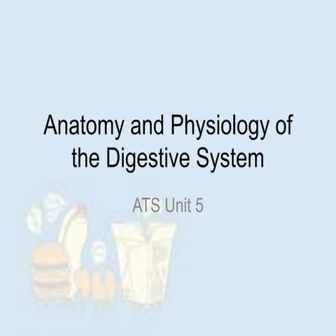 Digestive system 1 ehs unit 6