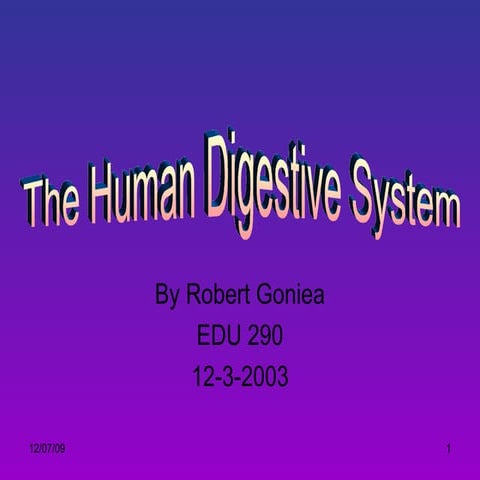 Digestive System2