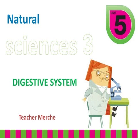 DIGESTIVE SYSTEM Compose By Dr | DOCX