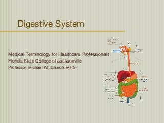 'digestive system ppt' on SlideShare