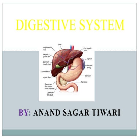 DIGESTIVE SYSTEM