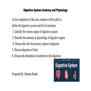 Digestive System Anatomy and Physiology Slides.pptx