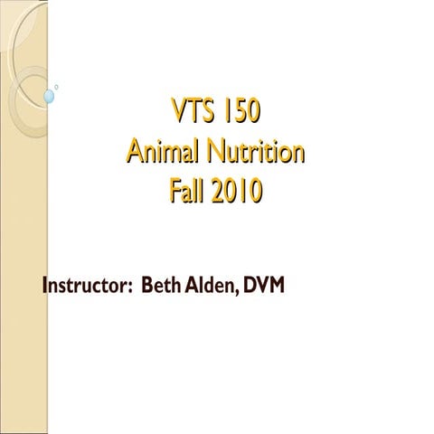 Digestive system classifications