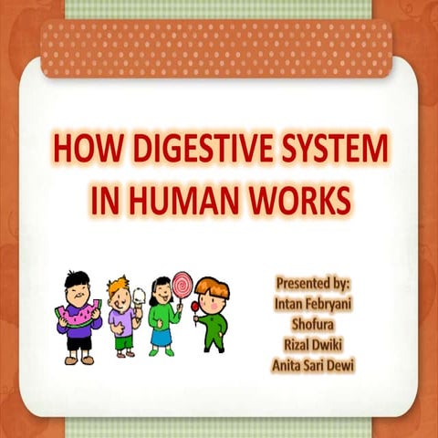 Digestive system 