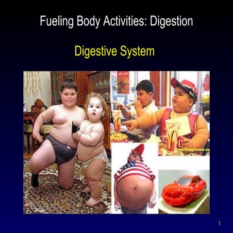 Digestive system i