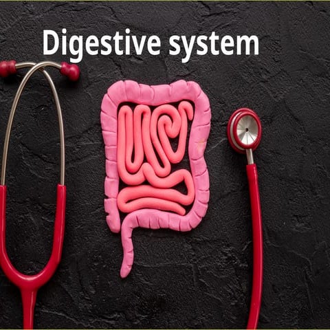 Digestive system in Humans.pptx.pptx esophagus,stomach,intestines