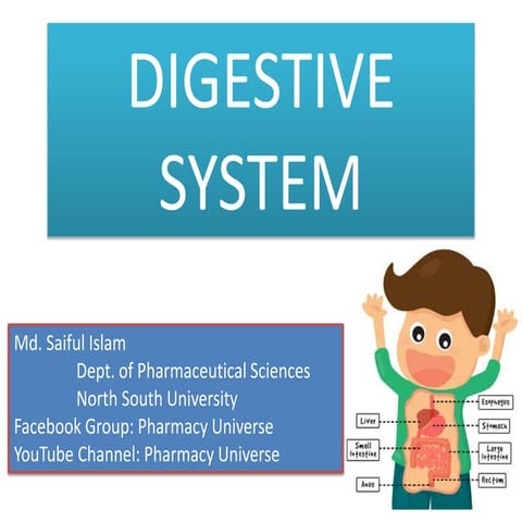 Introduction to Digestive System 