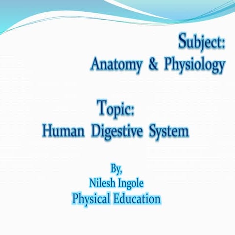 Human  Digestive  System : Anatomy and Physiology