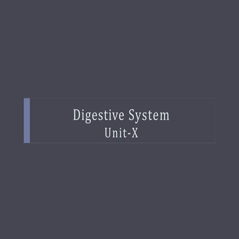 Digestive System Medical Class Lecture.pptx
