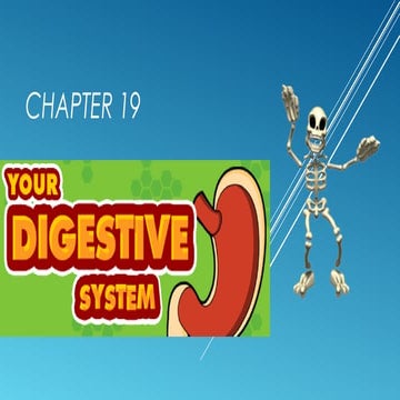 Digestive system notes