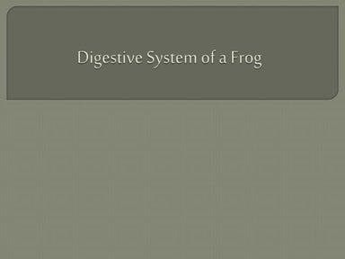 Frog dissecting | PPT