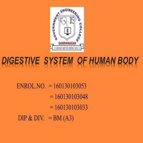 Digestive  system  of human body