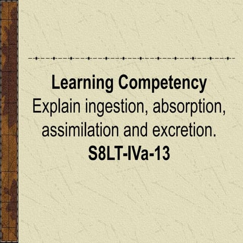 digestivesystempartsandfunction-090729111619-phpapp02.ppt