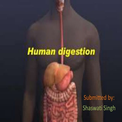 Digestive system | PPTX
