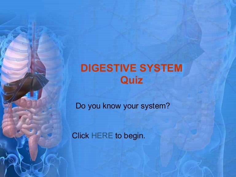 Digestive System Quiz