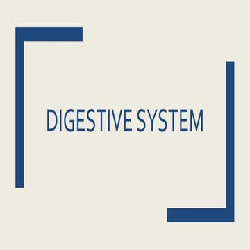 Digestive System K-12 Lesson
