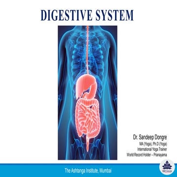 Digestive system & Yoga