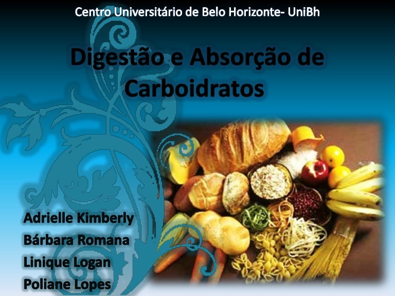 Explique De Forma Resumida Como Ocorre A Digestão Dos Carboidratos