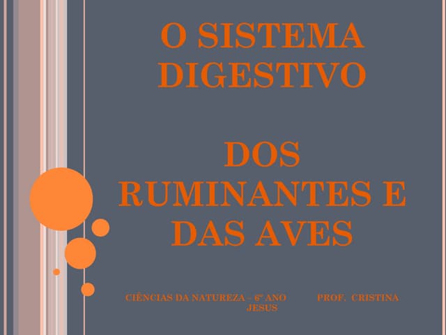 Digestão ruminantes e aves111101124...