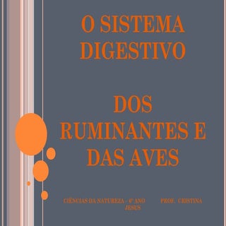Digestão ruminantes e aves111101124...