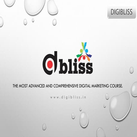 Digibliss- Best Digital Marketing Institute in Noida 