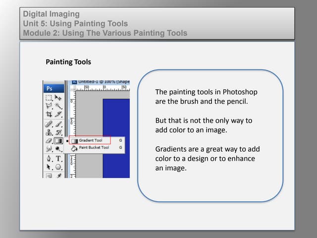 Dig imag unit 5 module 2 using the various painting tools