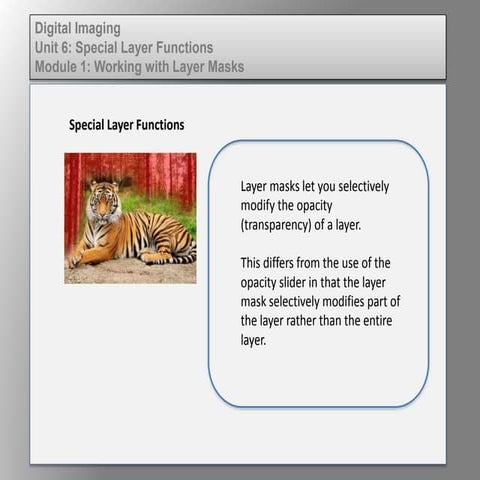 Dig imag unit 6 module 1 working with layer masks