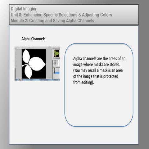 Dig imag unit 8 module 2 creating and saving alpha channels