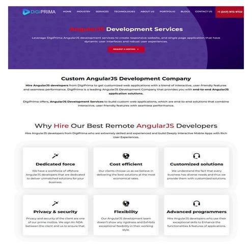 Hire Professional Angular JS Developer's | PDF | Web Development | Internet