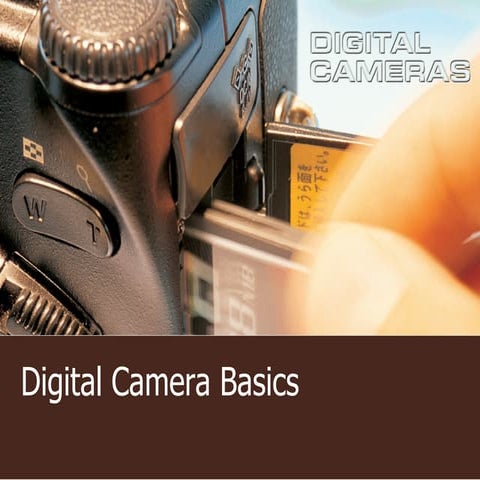 Digital Camera Tips