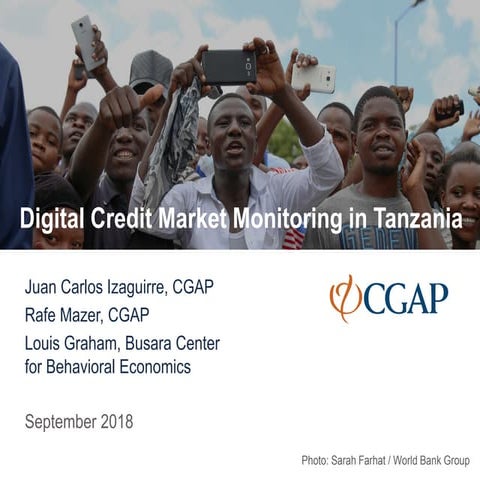 Digital Credit Market Monitoring in Tanzania