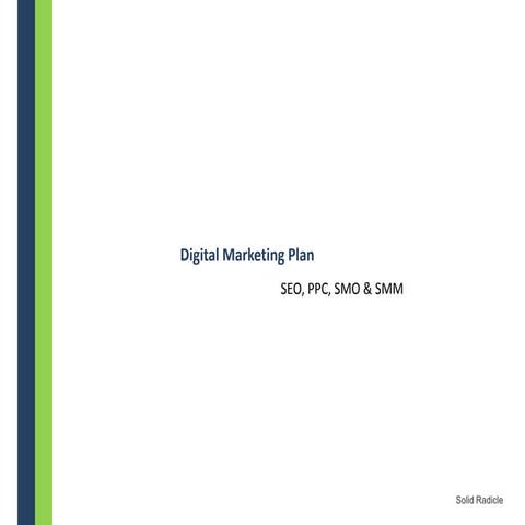 Digital Marketing Plan - 2013