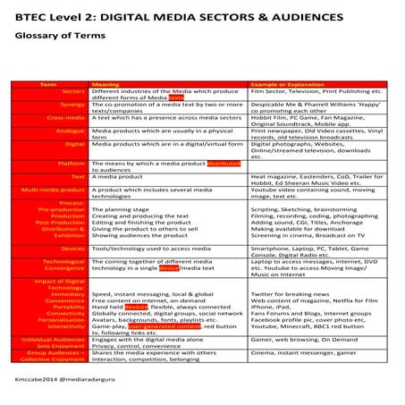 Digital Media Sectors & Audiences