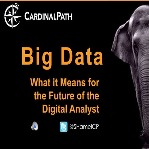 Big Data: What it means for the future of the digital analyst