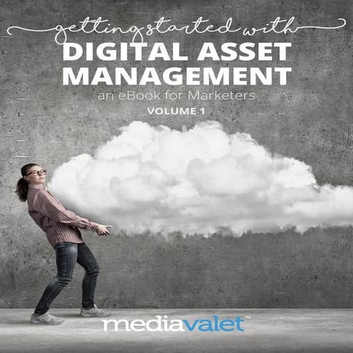 Digital asset management book