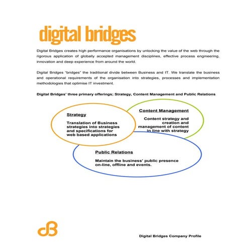 Digital Bridges Overview 2009