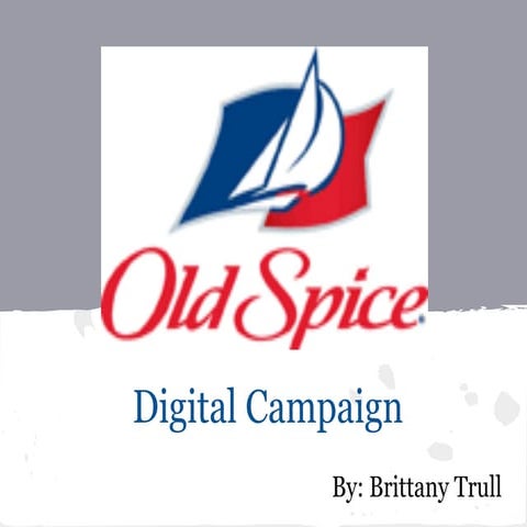 Yippee brochure | PDF