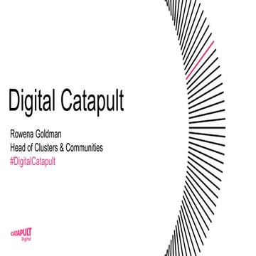 Digital Catapult Overview