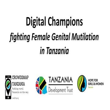 Digital champions:  mapping against FGM