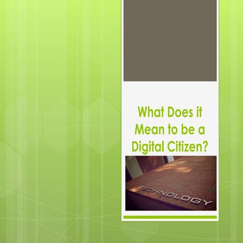 Digital citizen