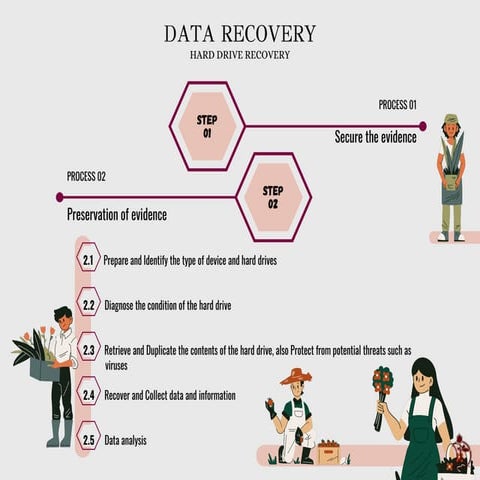 Hard Drive Data Recovery and Evidence Preservation Process | PDF